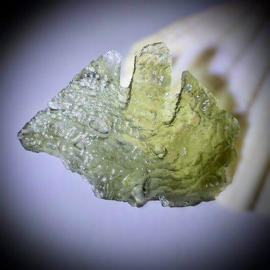 Angel Chime Moldavite, Chlum.