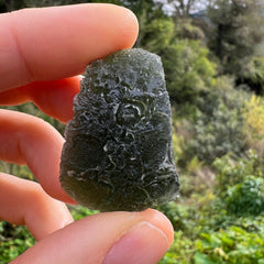 16.3g Moldavite
