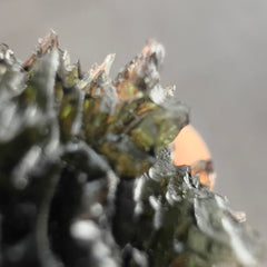 20.2g Maly Chlum Masterpiece Investment Moldavite.