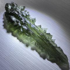 True Besednice Hedgehog - 6.69g.