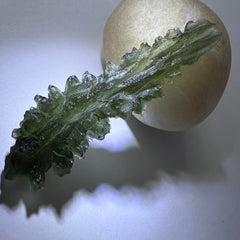 True Besednice Hedgehog - 6.69g.