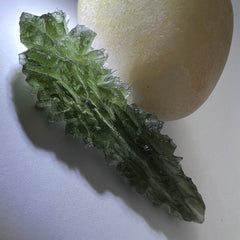 True Besednice Hedgehog - 6.69g.