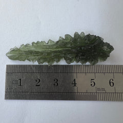 True Besednice Hedgehog - 6.69g.