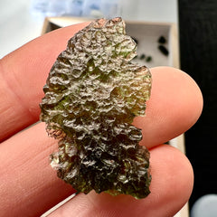 4.89g Moldavite