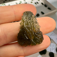 4.48g Moldavite