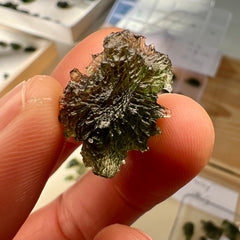 3.29g Moldavite