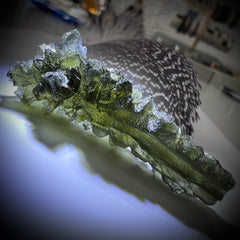True Besednice Hedgehog - 5.46g