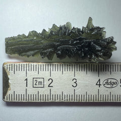 True Besednice Hedgehog - 5.46g