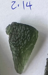 Botanical Form Gold-Plated Moldavite Necklace (2.14g)