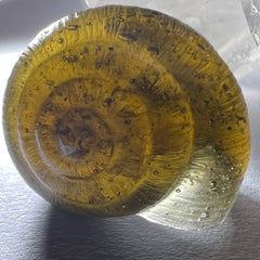 Moldavite Snail Carving – Twin Set (Carving 2 of 2)