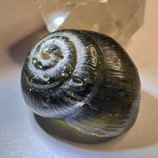 Moldavite Snail Carving – Twin Set (Carving 2 of 2)