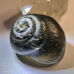 Moldavite Snail Carving – Twin Set (Carving 2 of 2)