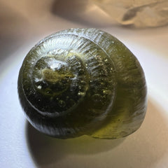 Moldavite Snail Carving – Twin Set (Carving 2 of 2)