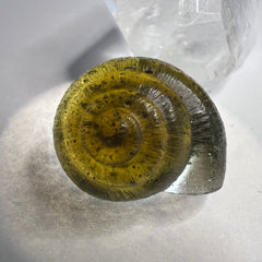 Moldavite Snail Carving – Twin Set (Carving 2 of 2)