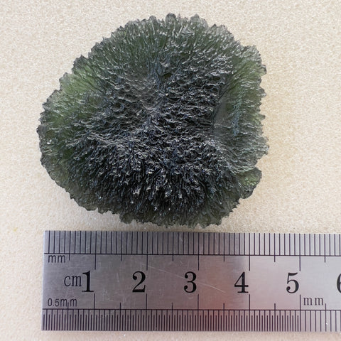 22.95g Nesmen Les "Disk" Moldavite