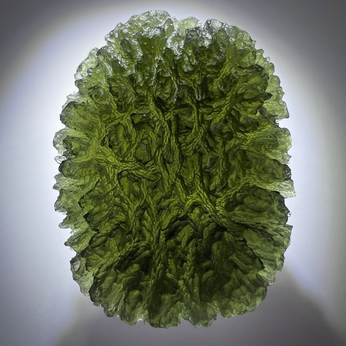Natural Moldavite | 17.96g | Nesmen Les