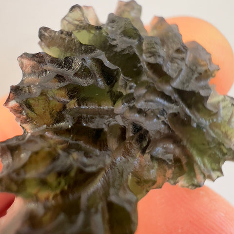 6.09g Besednice Hedgehog Moldavite