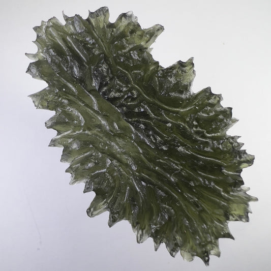 True Besednice Hedgehog - 16.16g