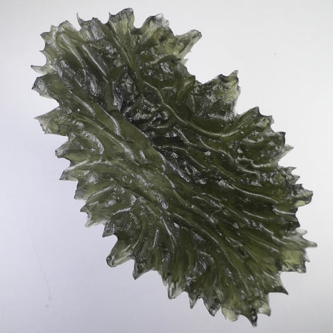 True Hedgehog | 16.16g | Besednice Jezkovna