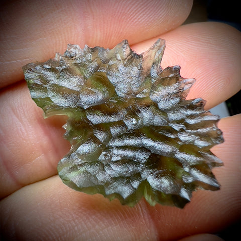 True Hedgehog | 4.2g | Besednice Jezkovna