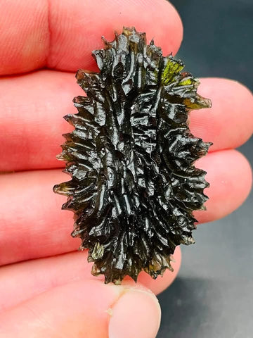 True Hedgehog | 16.16g | Besednice Jezkovna