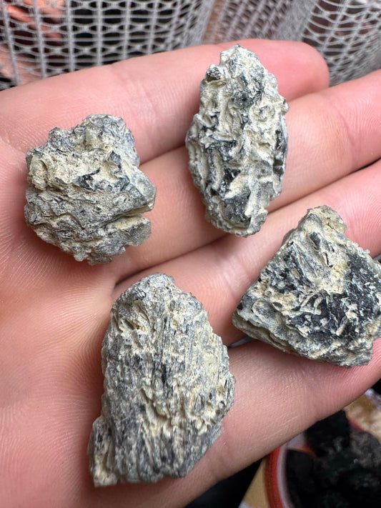 'Frosty' Moldavite Wholesale Lot | 30.61g | Brusna