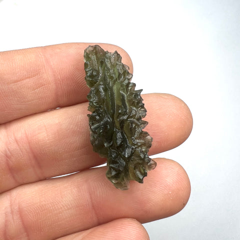 5.69g Besednice Jezkovna - True Hedgehog.