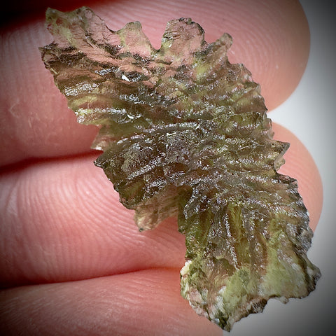 True Hedgehog | 1.41g | Besednice Jezkovna