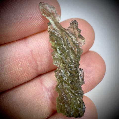 True Hedgehog | 2.27g | Besednice Jezkovna