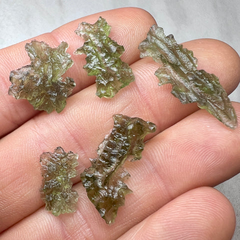 Besednice Hedgehog Lot I 4.65g I 5pcs