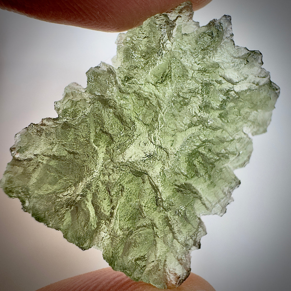 True Hedgehog | 5.13g | Besednice Jezkovna