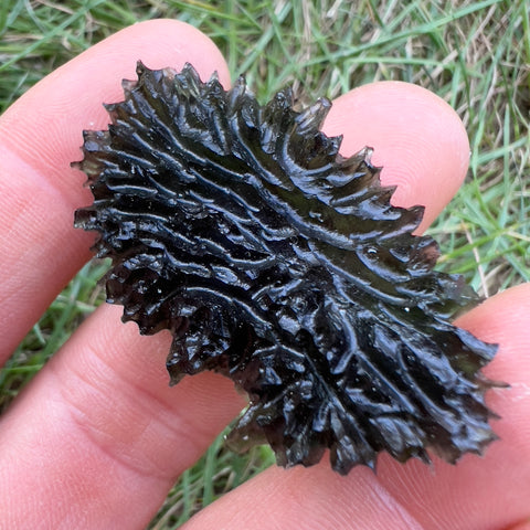 True Hedgehog | 16.16g | Besednice Jezkovna