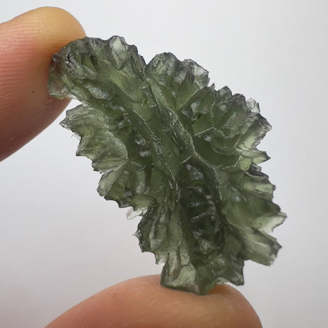 9.26g Besednice Hedgehog Moldavite