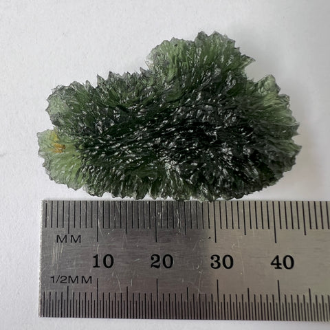 Natural Moldavite | 12.29g | Nesmen Les