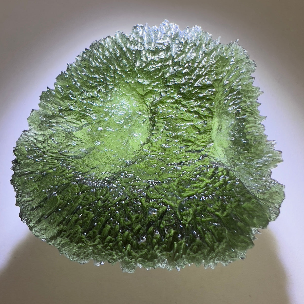 Magnificent Moldavite Disk from Nesmen Les — 22.95g