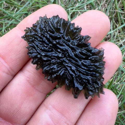 True Hedgehog | 16.16g | Besednice Jezkovna
