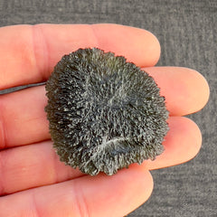 Magnificent Moldavite Disk from Nesmen Les — 22.95g