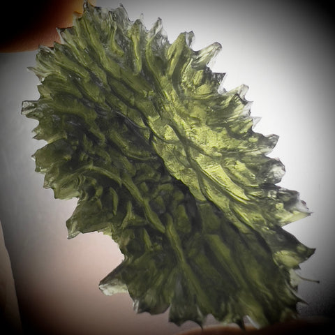 True Hedgehog | 16.16g | Besednice Jezkovna