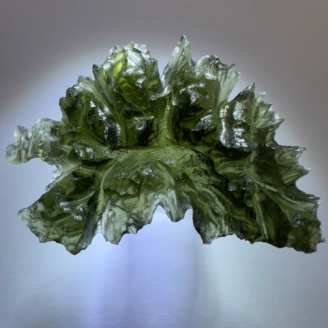 6.09g Besednice Hedgehog Moldavite