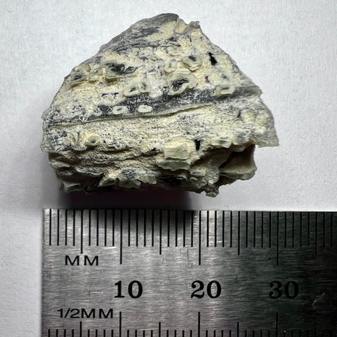 'Frosty' Moldavite | 6.87g | Brusna