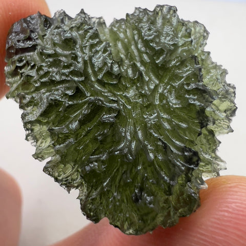 Raw Moldavite | 8.65g | Maly Chlum