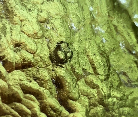 Moldavite with Rare Inner Bubble I 4.58g I Maly Chlum Kraj