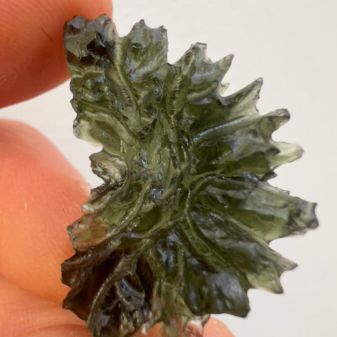 6.09g Besednice Hedgehog Moldavite