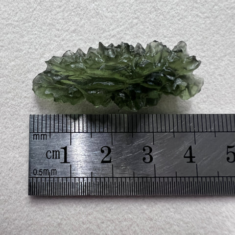 5.69g Besednice Jezkovna - True Hedgehog.