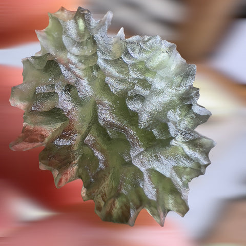 True Hedgehog | 4.2g | Besednice Jezkovna