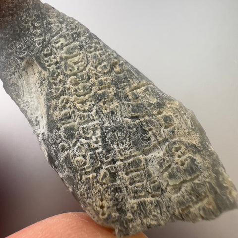 "Frosty" Moldavite | 8.54g | Bartochov