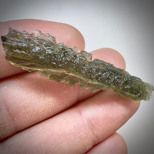 True Hedgehog | 4.97g | Besednice Jezkovna