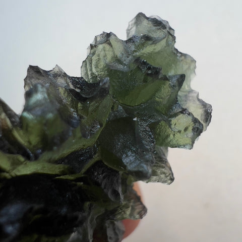 9.26g Besednice Hedgehog Moldavite
