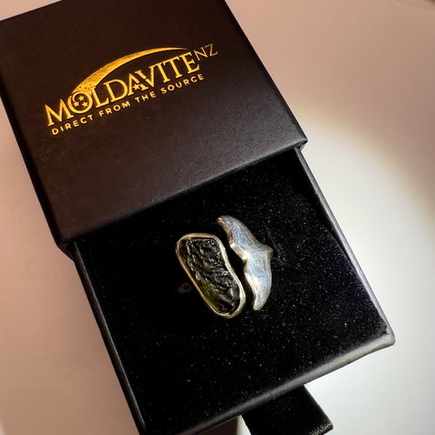 Sterling Silver Moldavite Whale Ring - Size 7
