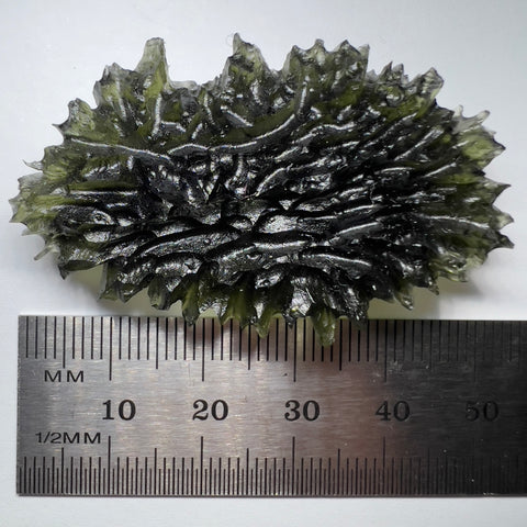 True Hedgehog | 16.16g | Besednice Jezkovna